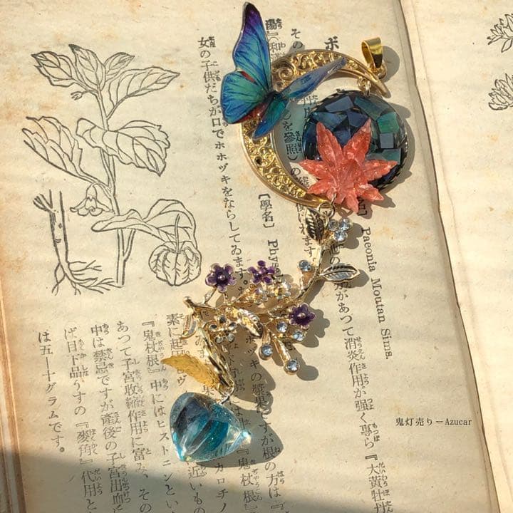 月夜の風と零れ落ちる紅葉　モルフォ蝶　鬼灯　色変化勿忘草　かんざし