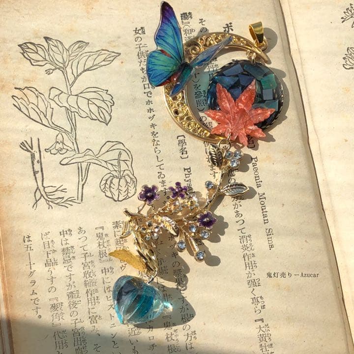 月夜の風と零れ落ちる紅葉　モルフォ蝶　鬼灯　色変化勿忘草　かんざし