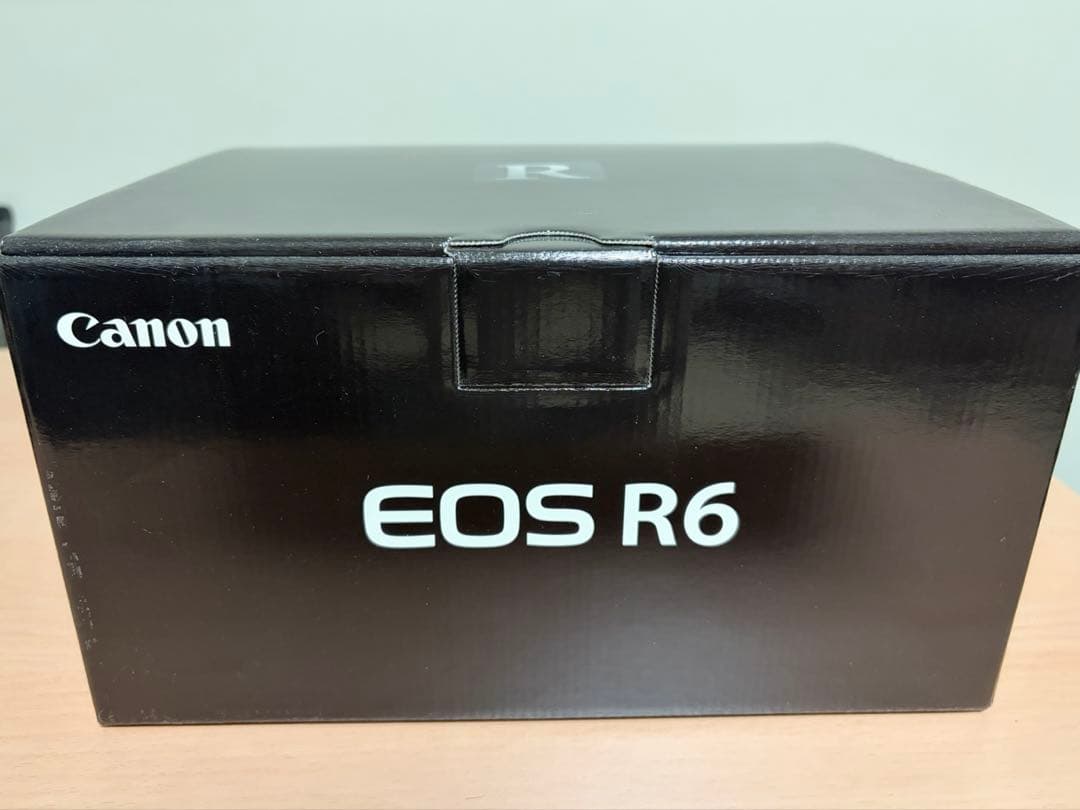 Canon EOS R6 本体　ジャンク