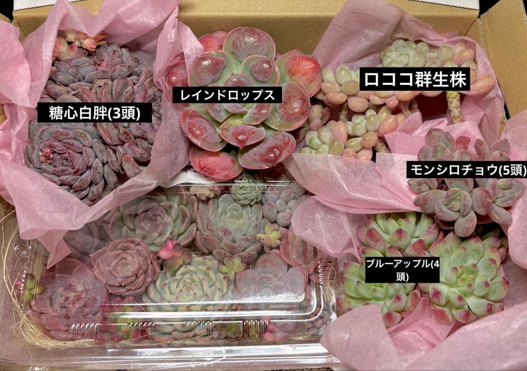 【まき様】専用確認画面になります❣️