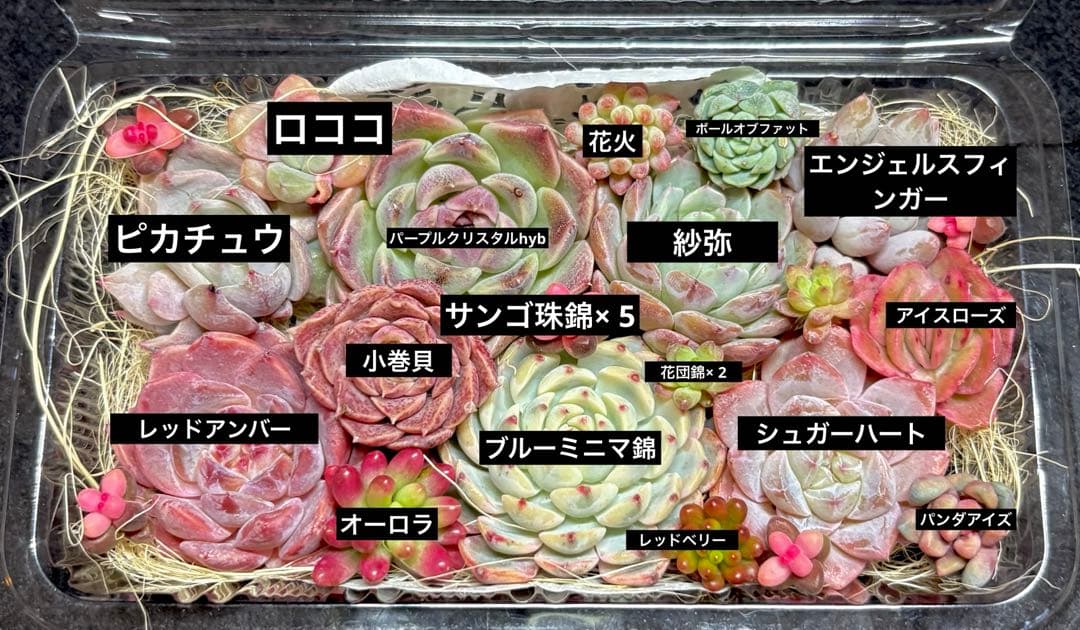 【まき様】専用確認画面になります❣️
