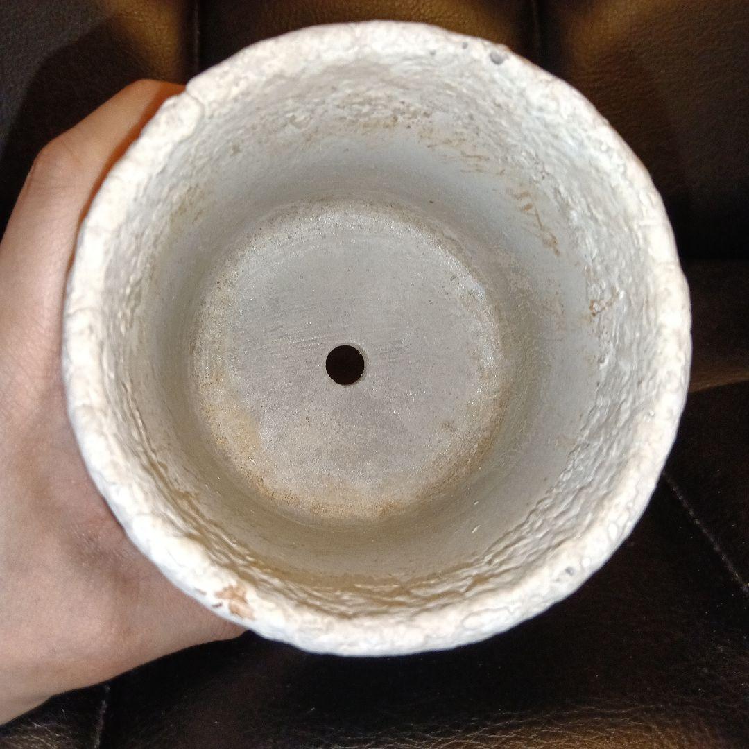 陶器製円筒形プランターカバー　観葉植物