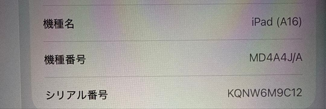 iPad第11世代 ブルー