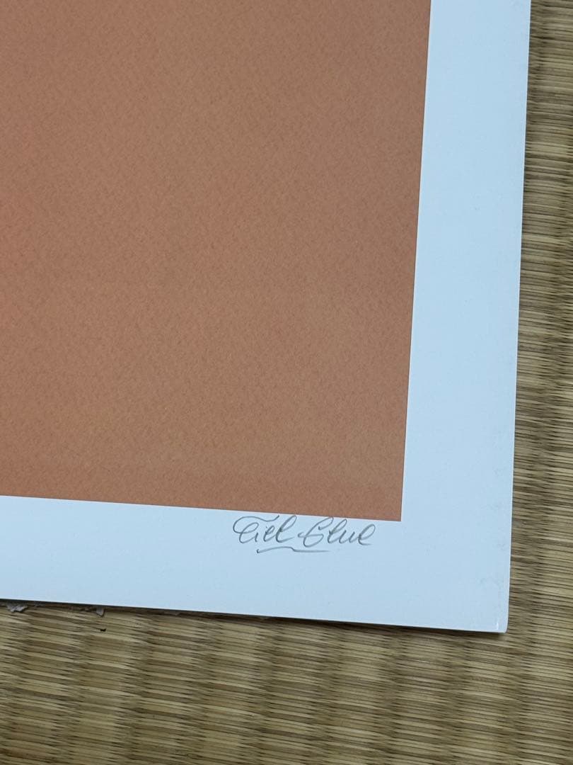 【限定3枚】直筆サイン入りBiarritz　シエル・グルー