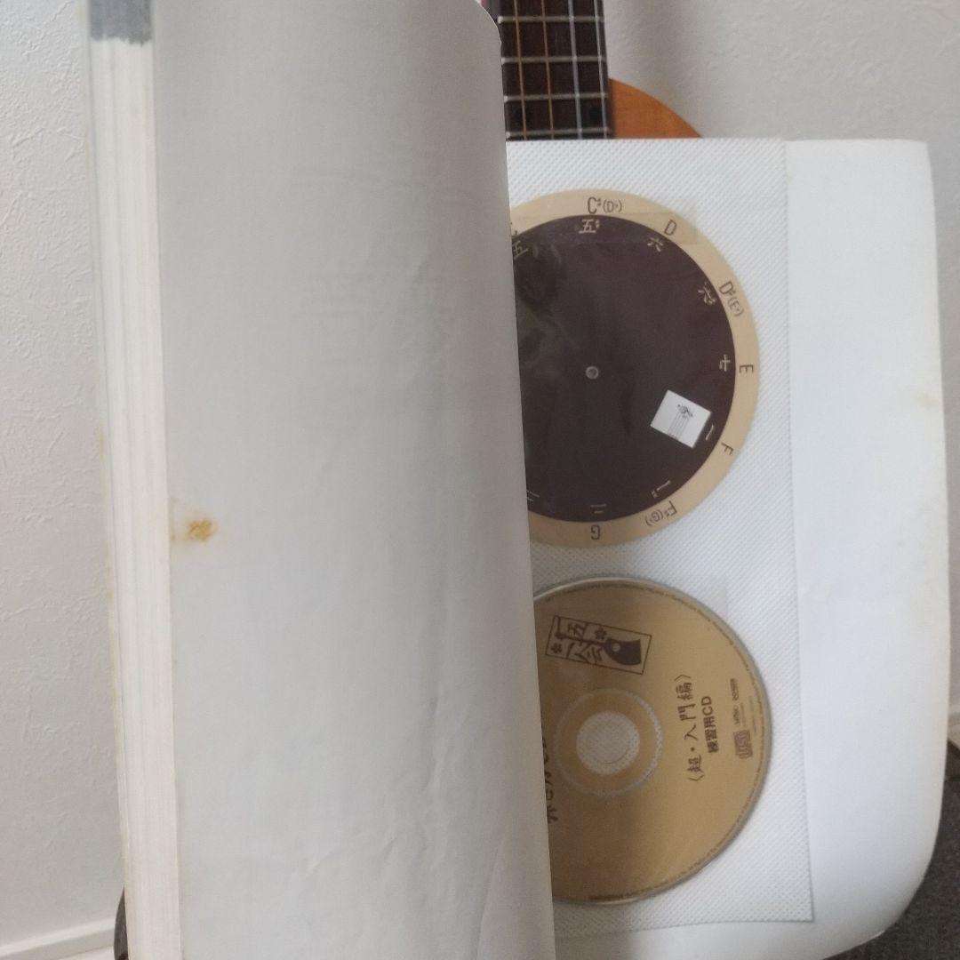 ヤイリギター 一五一会 奏生