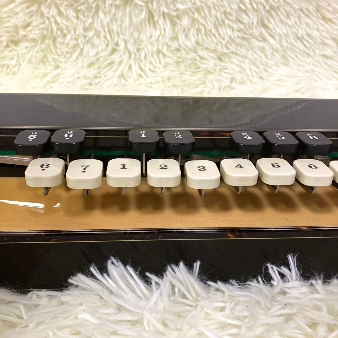 高級大正琴 ライリッシュ LSS25TH Lyrissh ソフトケース 和楽器