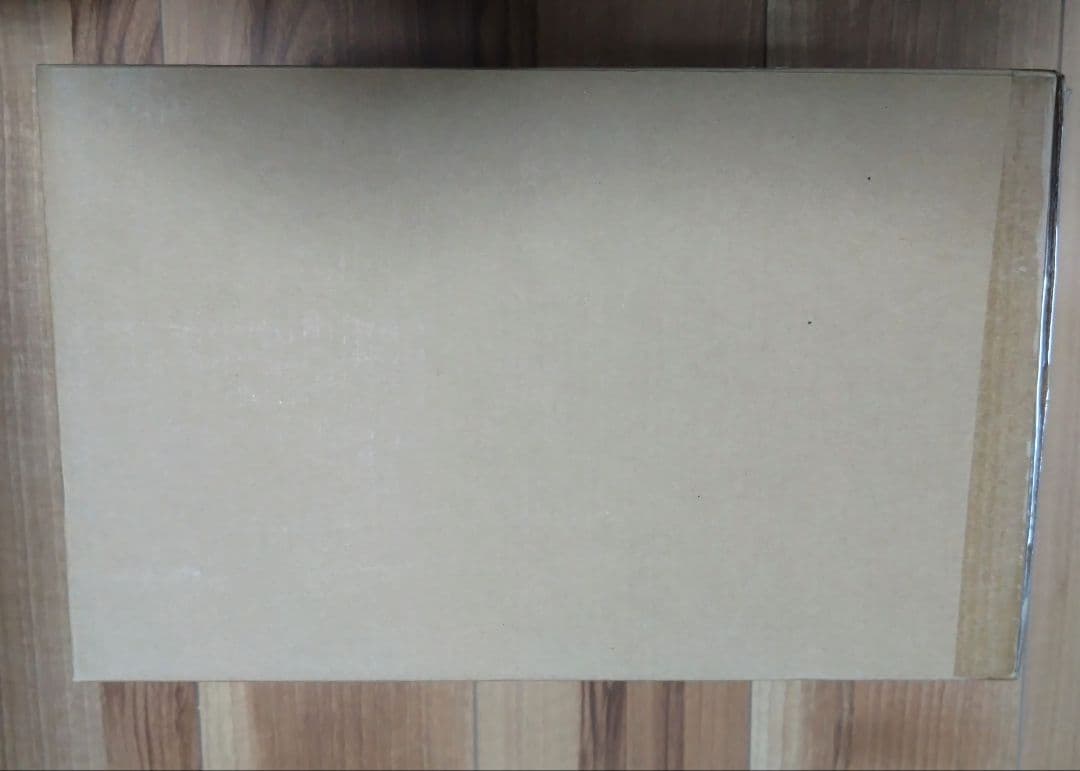 輸送箱未開封 聖闘士聖衣神話EX オピュクスオデッセウス