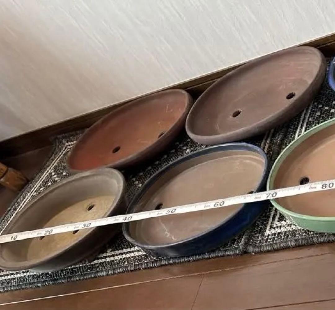 浅型 盆栽鉢 楕円 8点セット 寄せ植え・展示用／まとめ売り