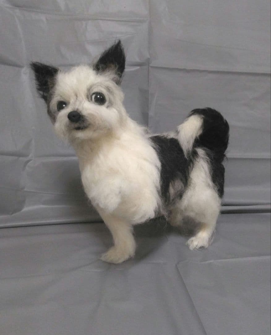 コクパーズ　羊毛フェルトオーダー