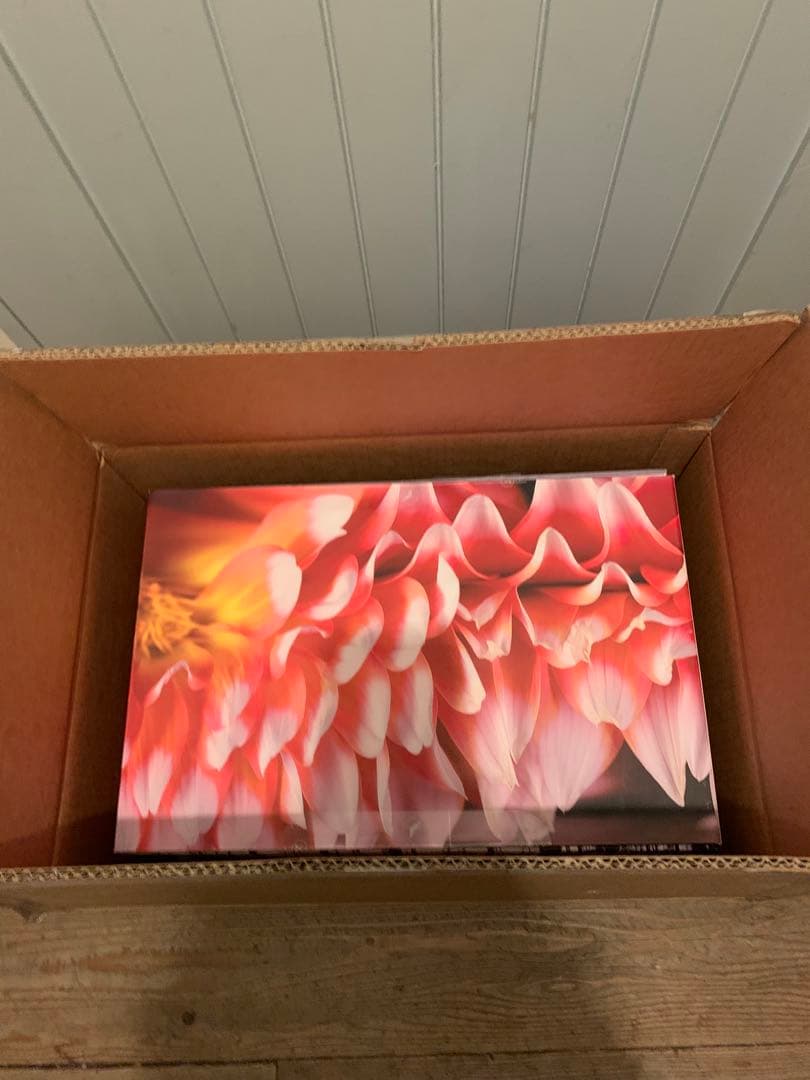 デビアレPhantom1 103dB matteblack