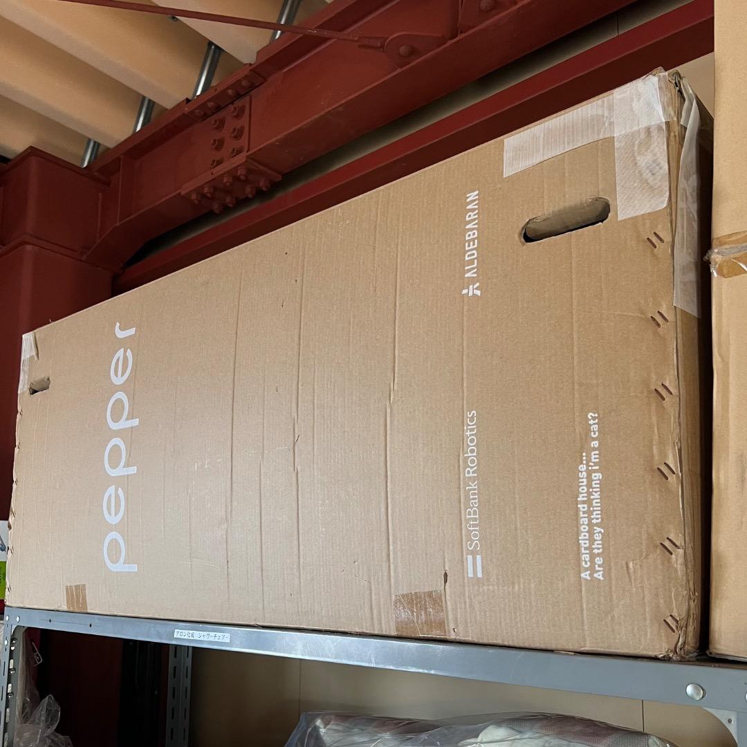 Pepper（ペッパー）Aldebaran Softbank 人型ロボット