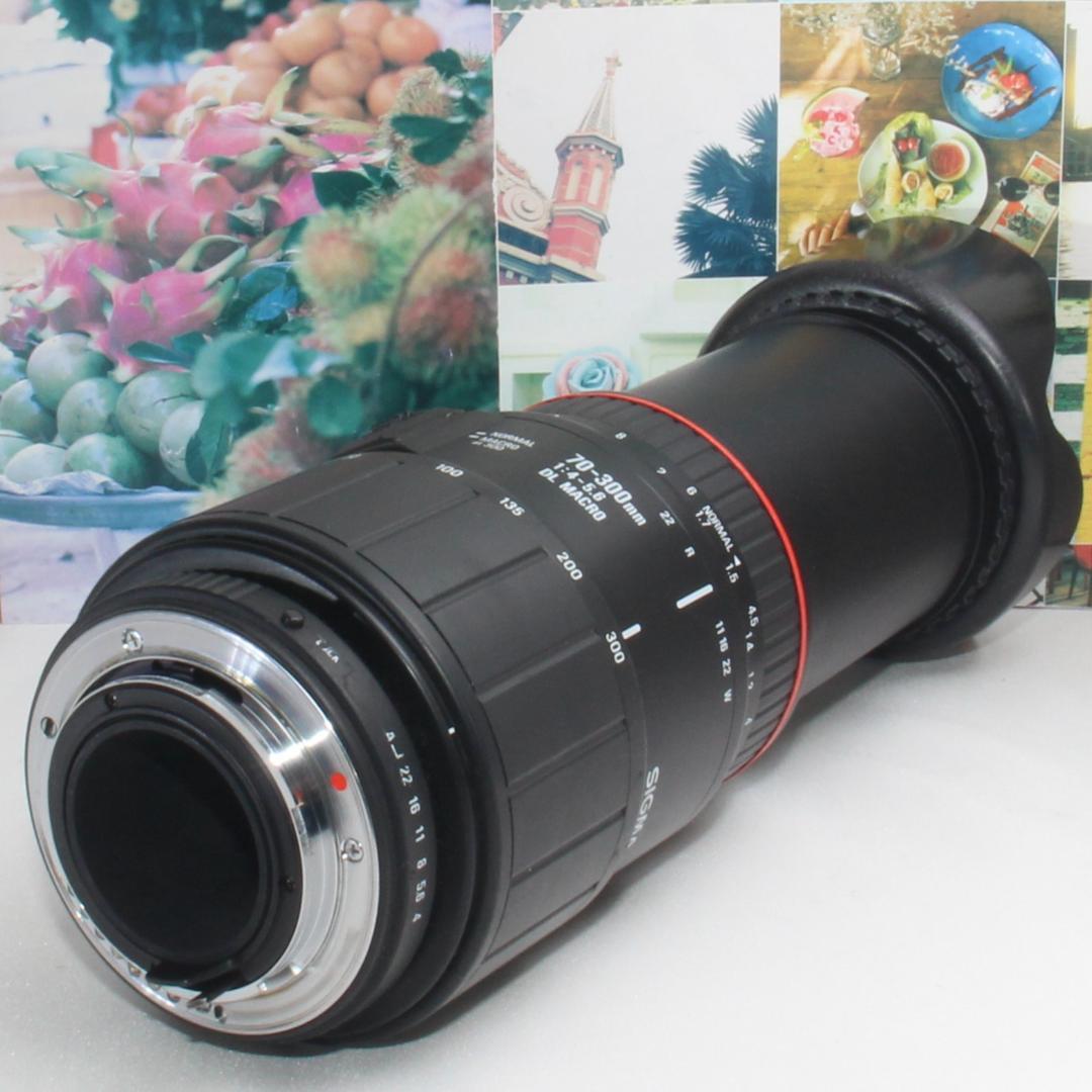 ❤️超望遠の世界観を掴み取る❤️シグマ 70-300mm❤️ペンタックス用❤️