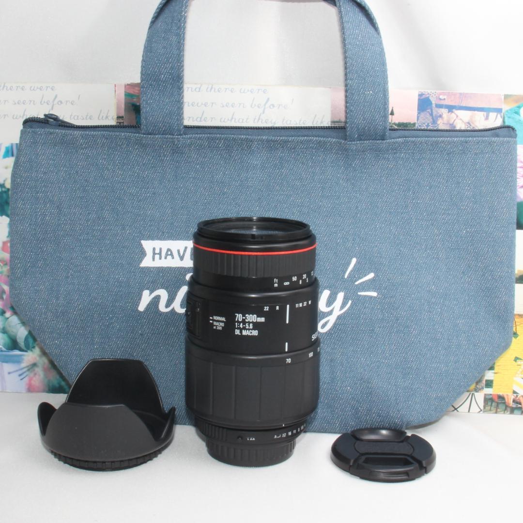 ❤️超望遠の世界観を掴み取る❤️シグマ 70-300mm❤️ペンタックス用❤️