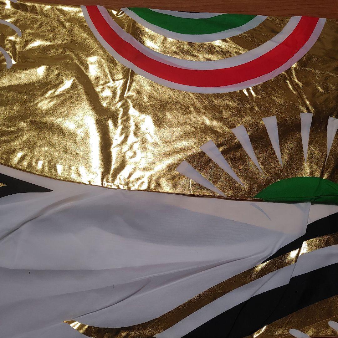 鯉のぼり　単品　金箔鯉　8m　黒