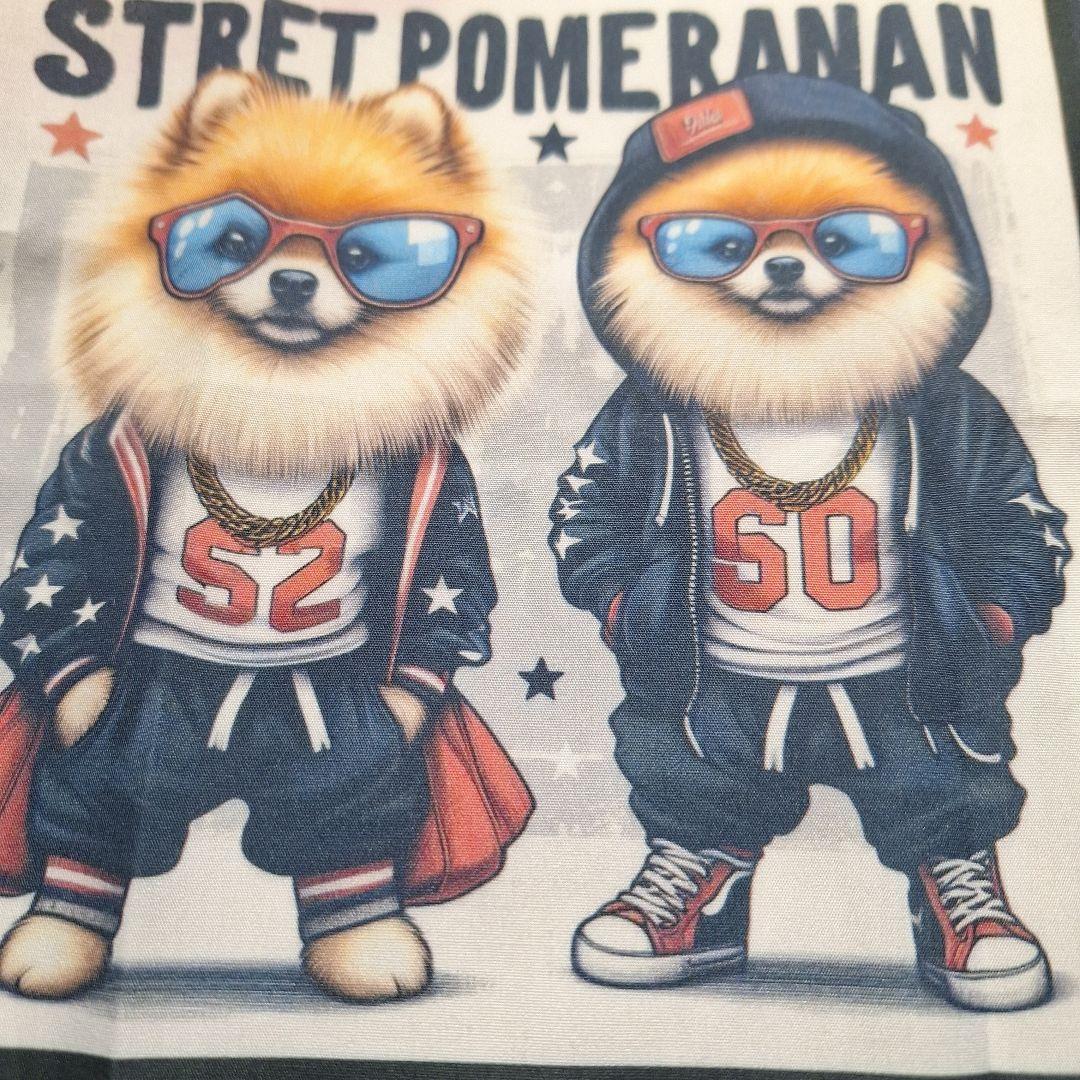 可愛いポメラニアンワイルドなポメラニアンパネル生地　ハンドメイド