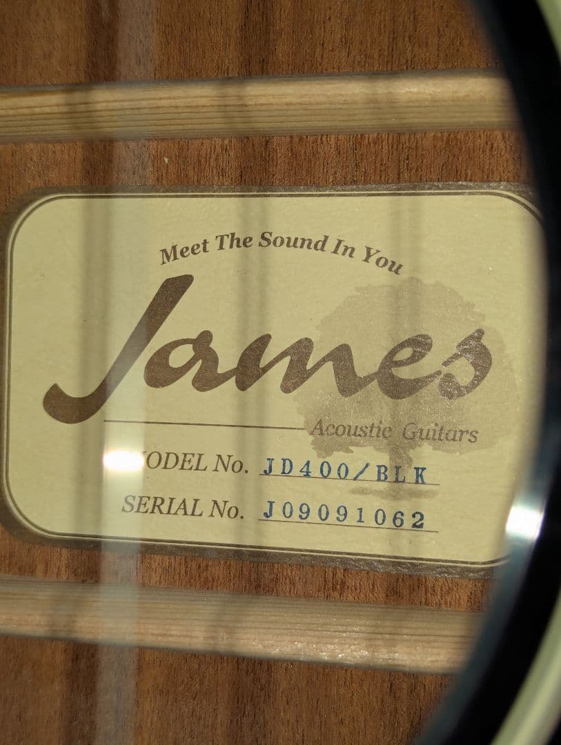 James JD400 トップ単板 島村楽器 ブラック