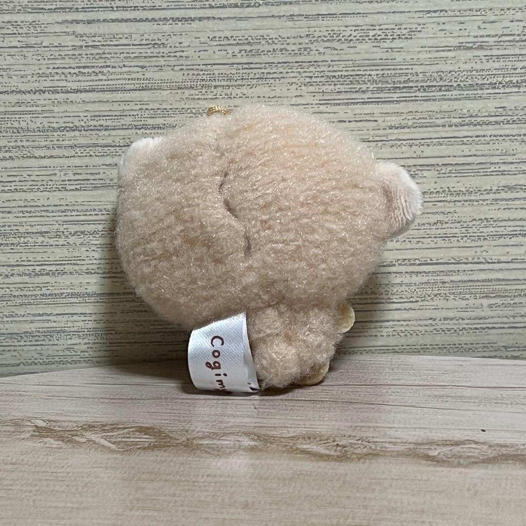 こぎみゅん 手作りくまさん ちゃいろのくまさん