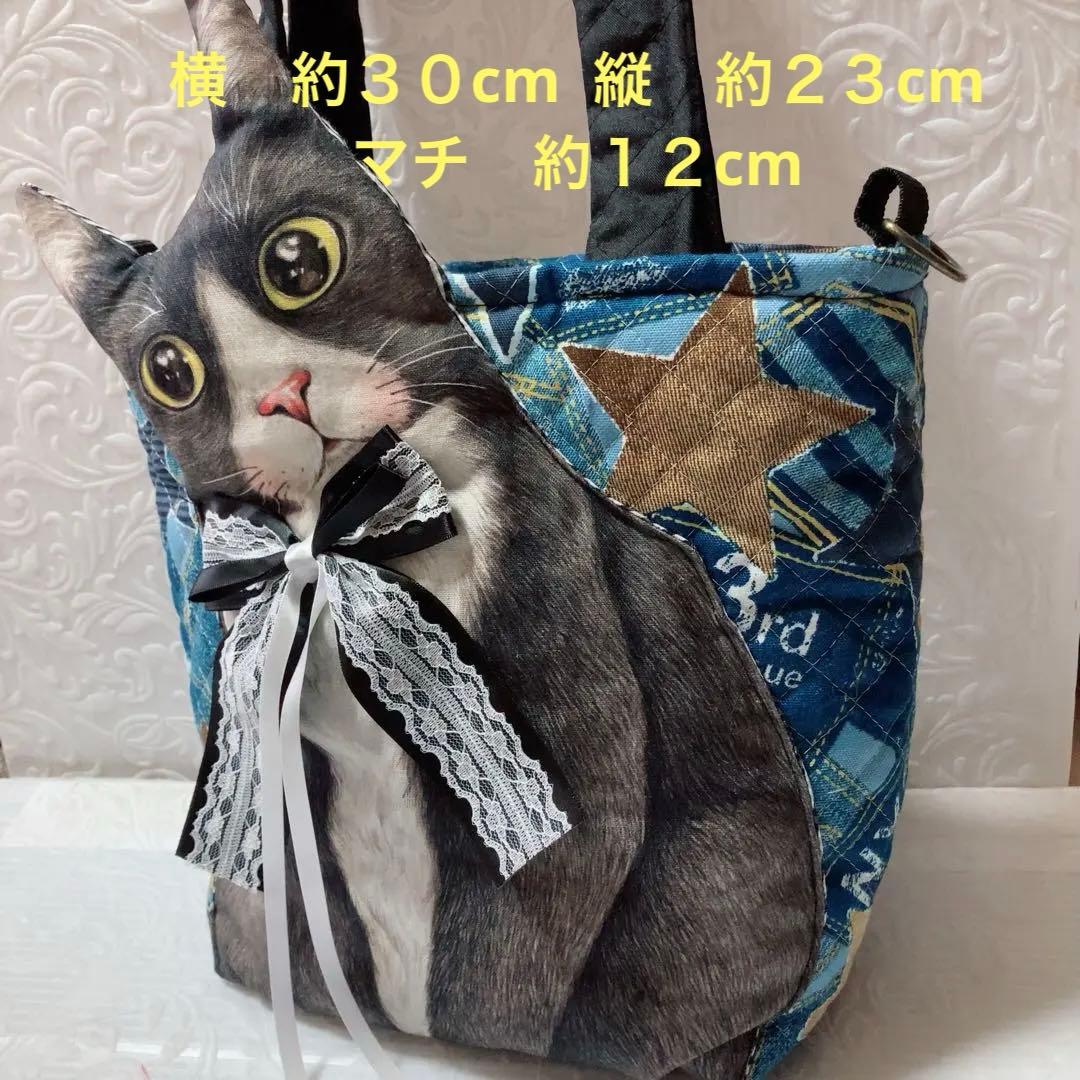 ゆきそら様2点おまとめ　新柄キジトラ猫ちゃんサコシュ　コヤンイサムチョン　お花柄