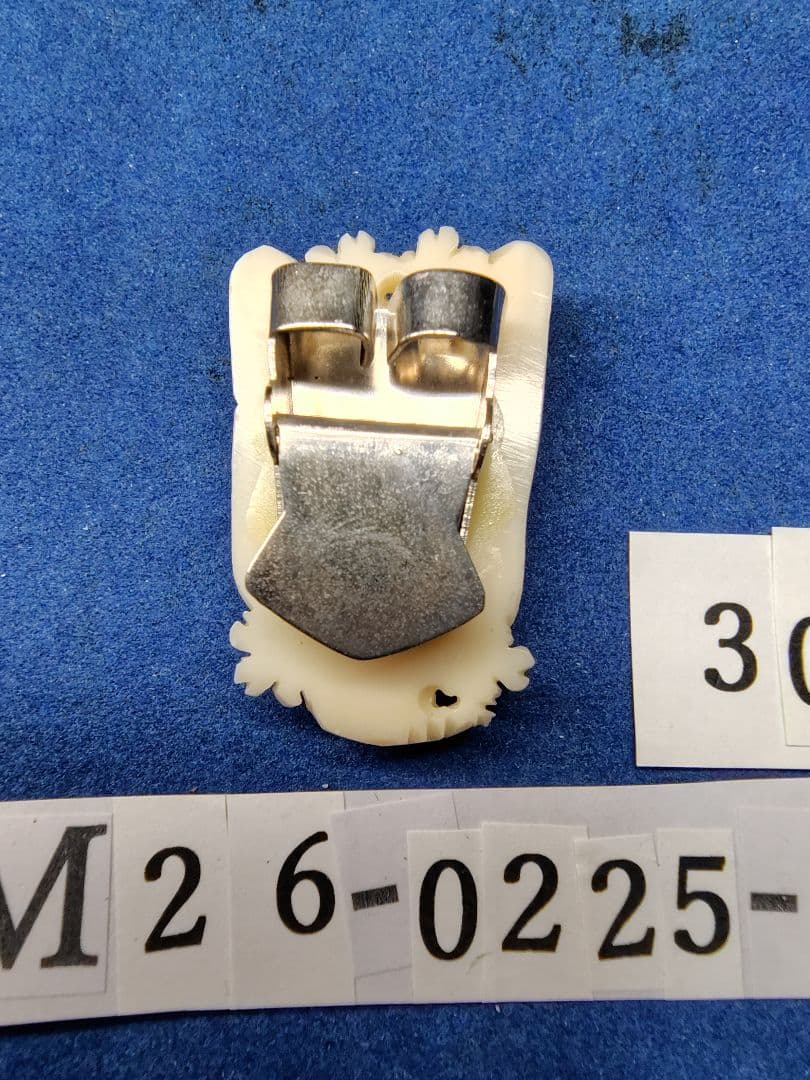 珊瑚 YM26-0225- 30 四国高知沖産 ループタイ