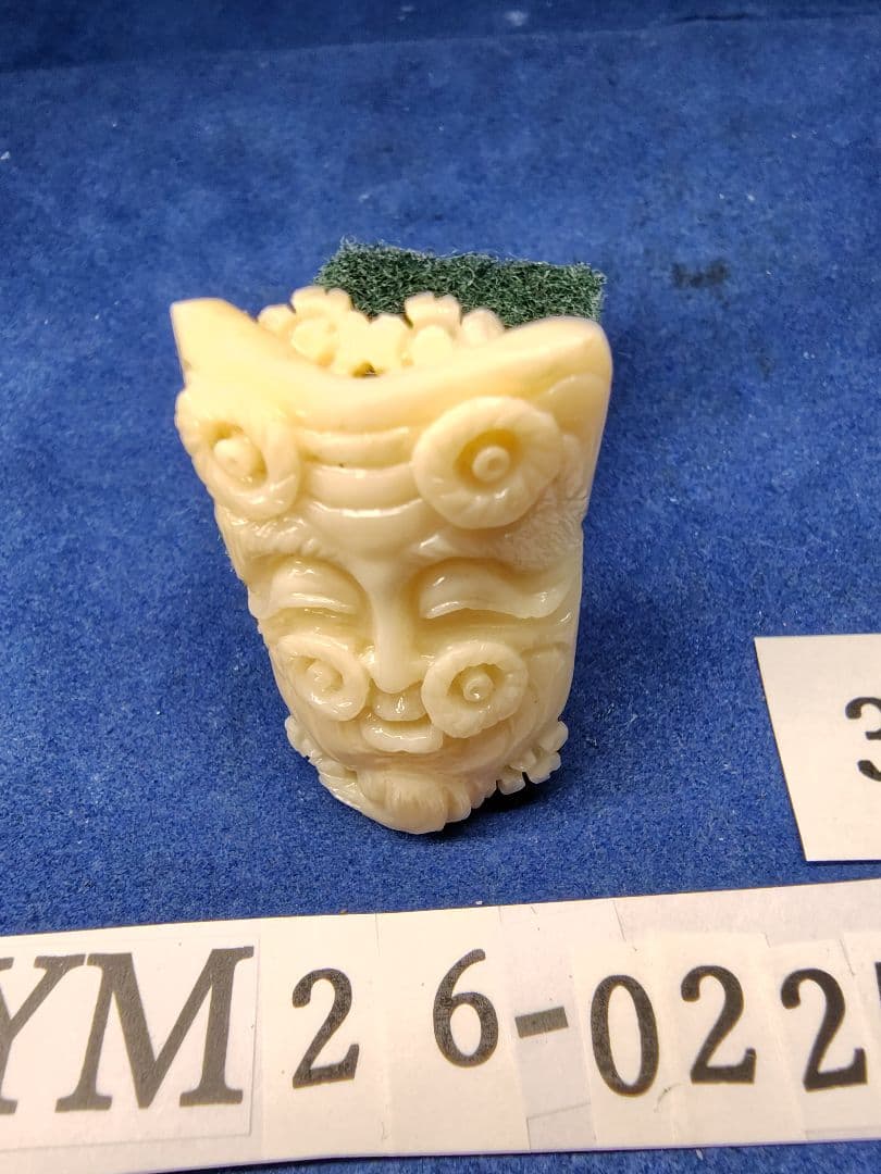 珊瑚 YM26-0225- 30 四国高知沖産 ループタイ