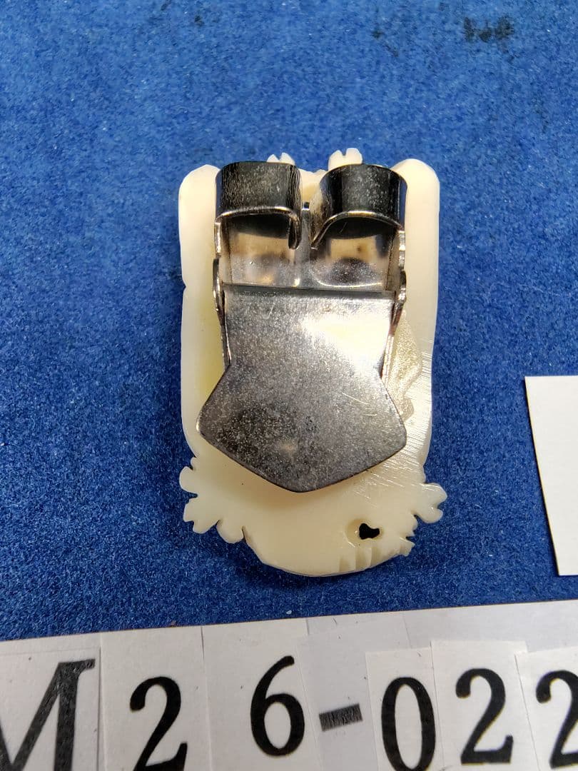 珊瑚 YM26-0225- 30 四国高知沖産 ループタイ