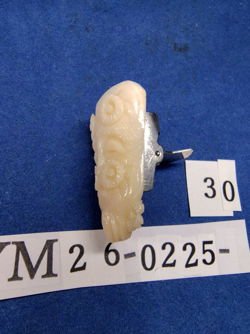 珊瑚 YM26-0225- 30 四国高知沖産 ループタイ