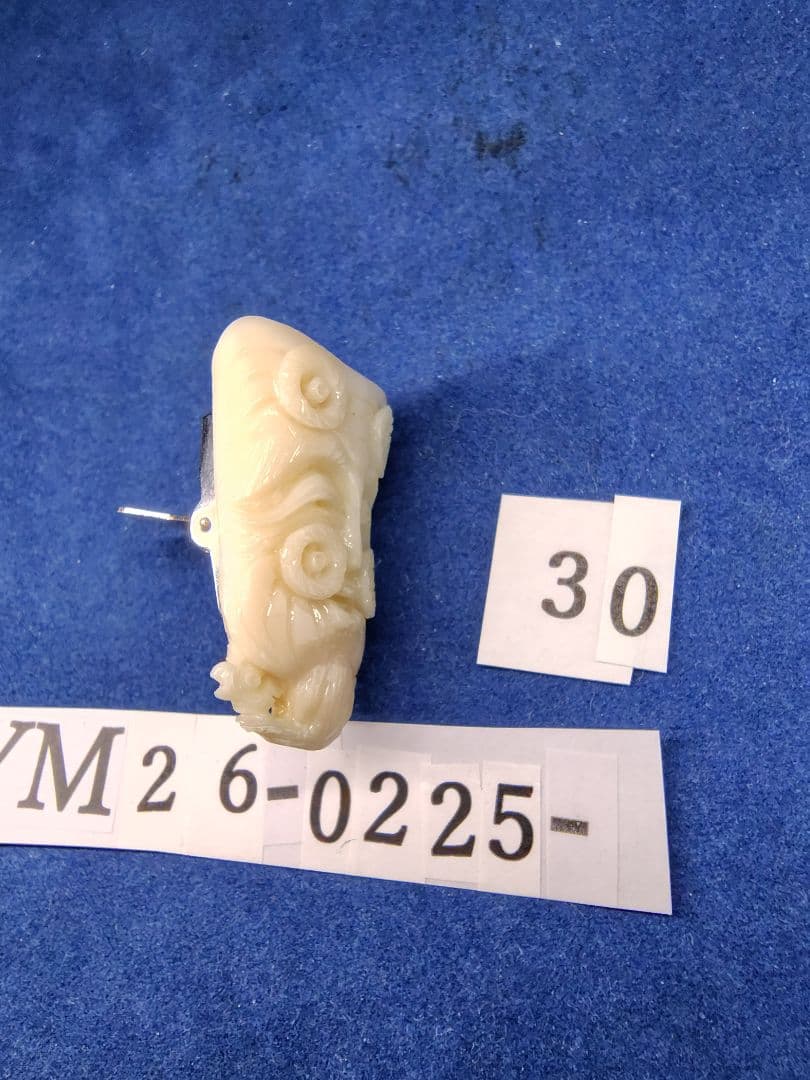 珊瑚 YM26-0225- 30 四国高知沖産 ループタイ