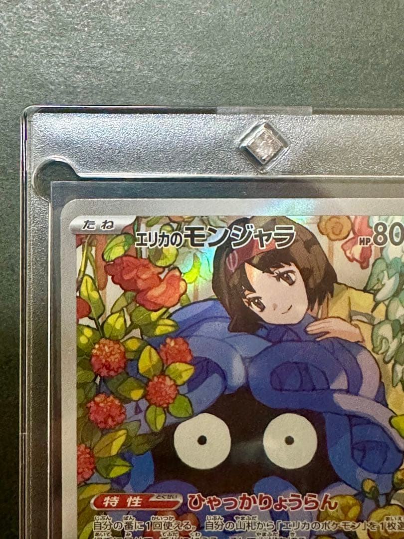 エリカのモンジャラ HP80
