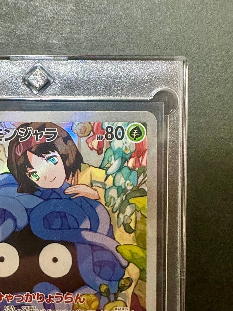 エリカのモンジャラ HP80