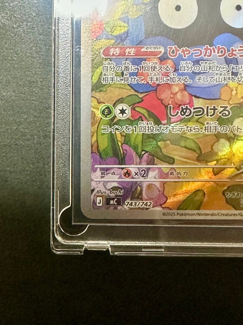 エリカのモンジャラ HP80