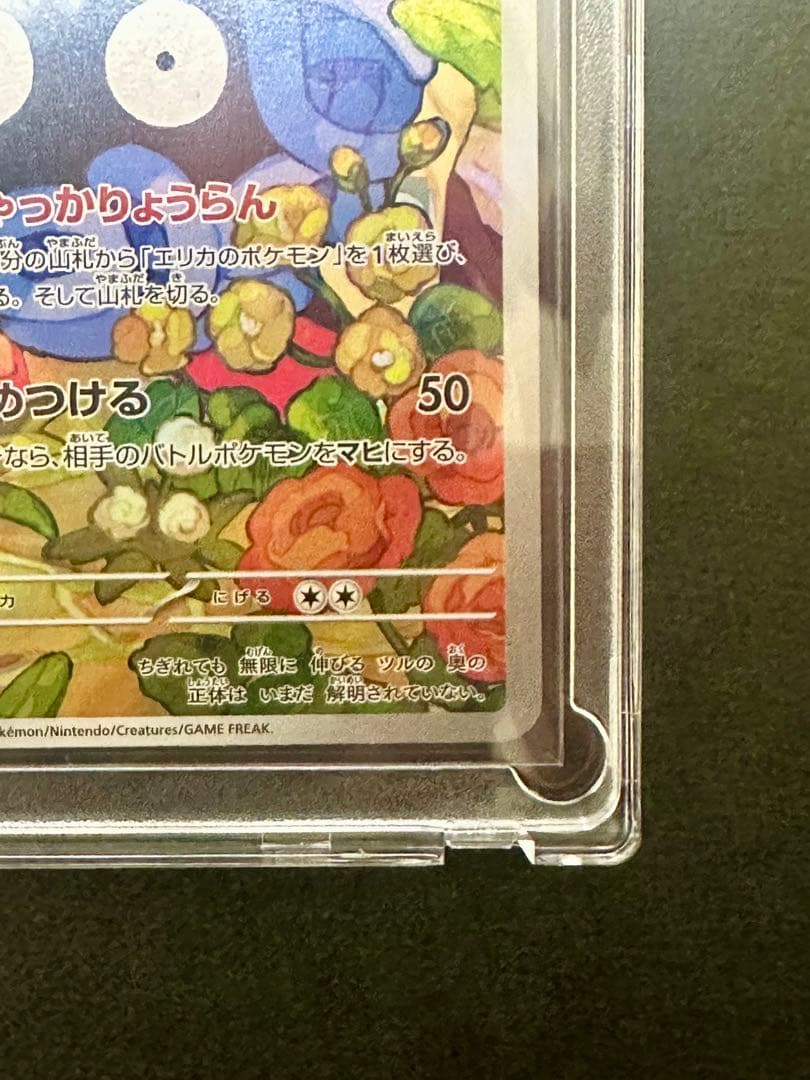 エリカのモンジャラ HP80