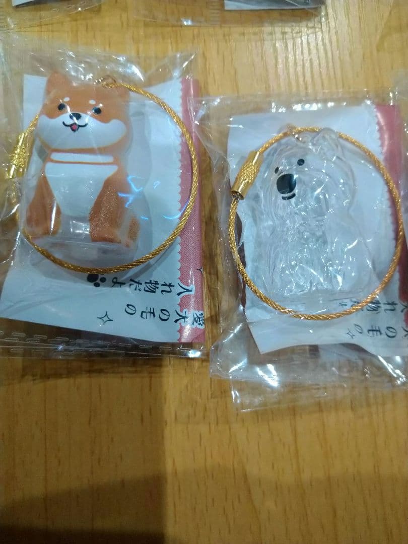 わんこのタイムカプセル　５種４５個セット　愛犬の毛の入れ物