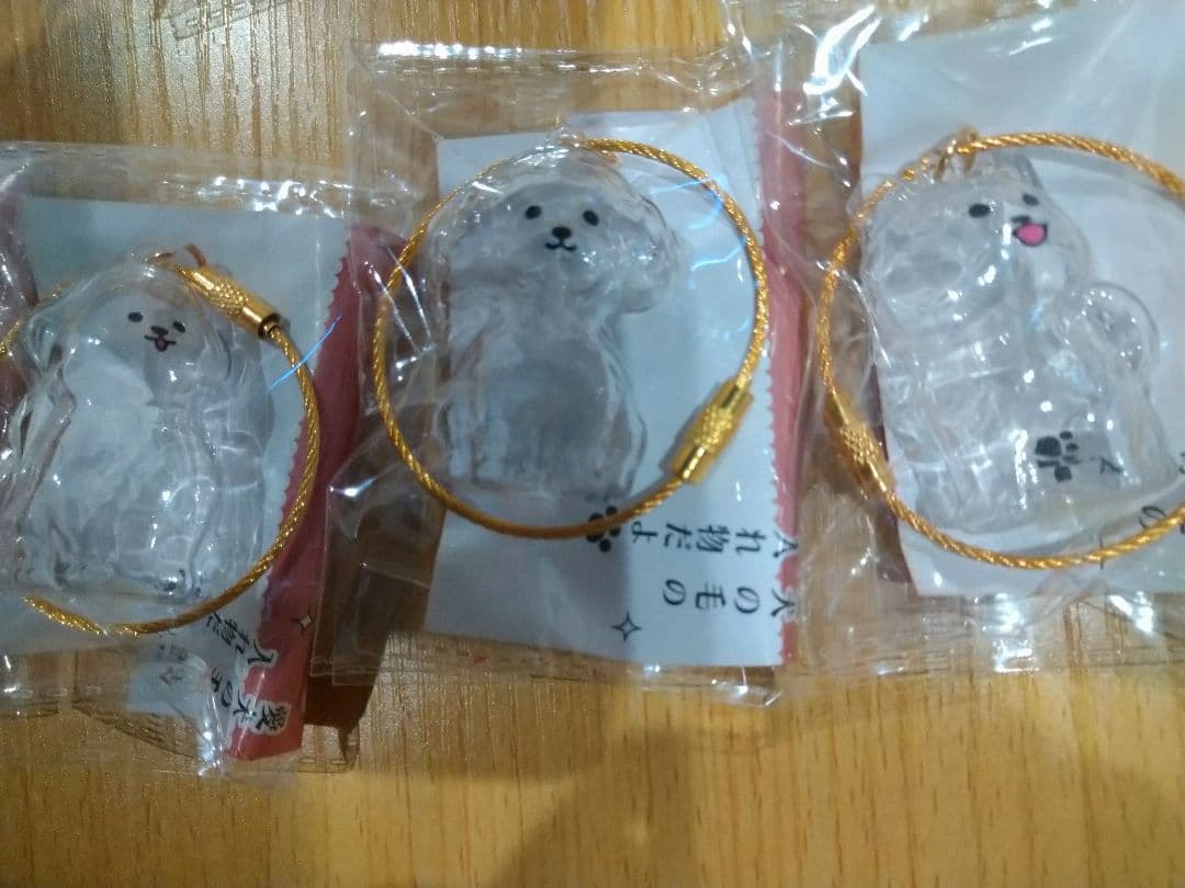 わんこのタイムカプセル　５種４５個セット　愛犬の毛の入れ物