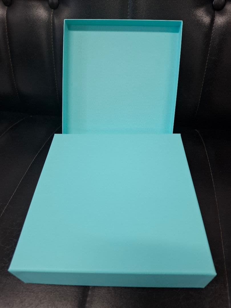 Tiffany & Co. ボーンチャイナ皿 2枚セット