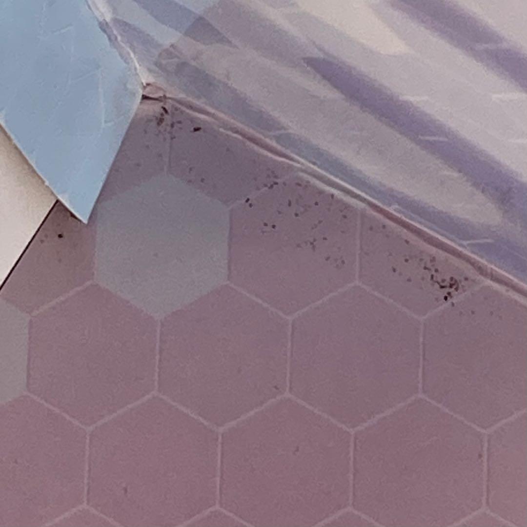 艦隊これくしょん 加賀 1/7 スケール フィギュア 艦これ ファニーナイツ