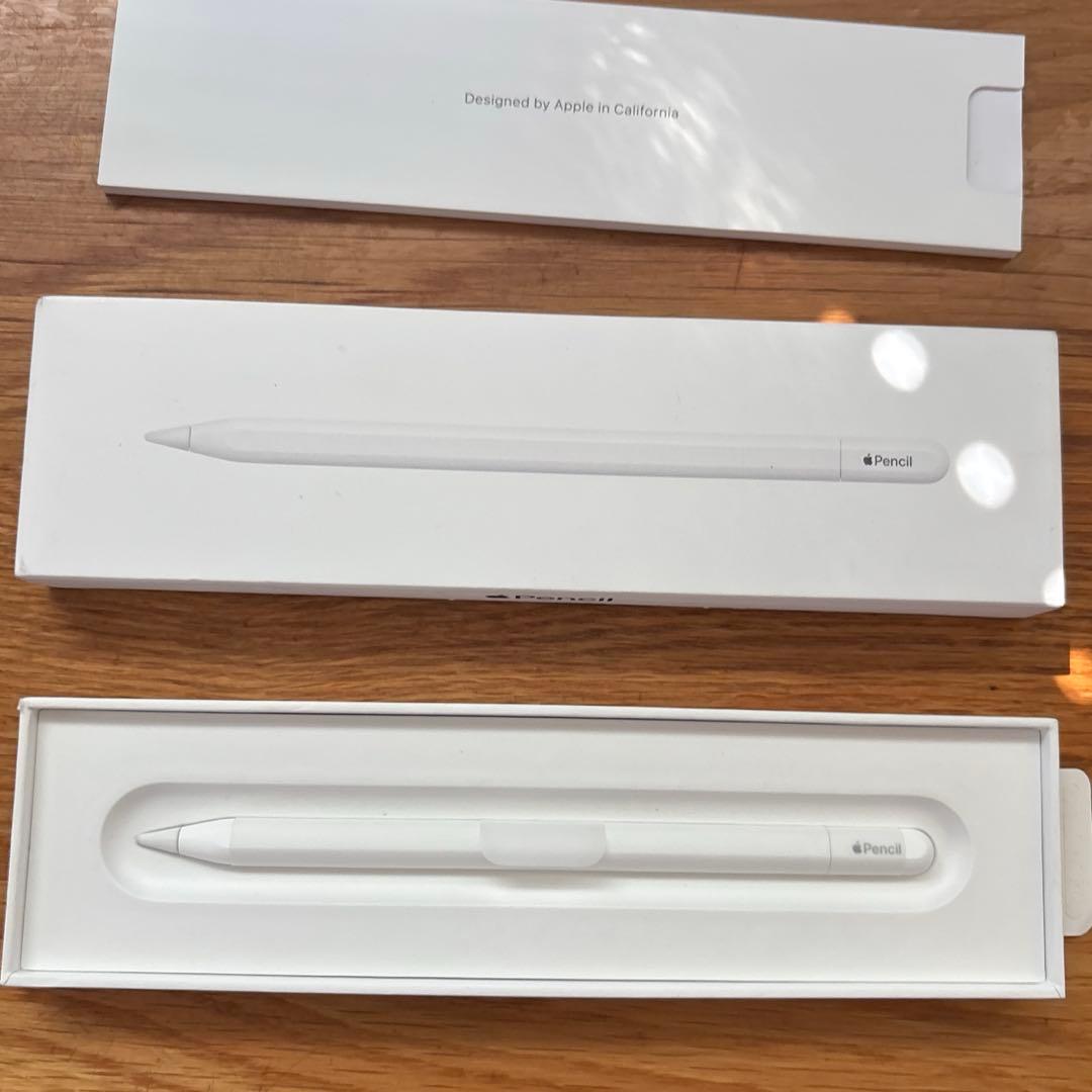 『未使用』Apple Pencil USB-Cタイプ
