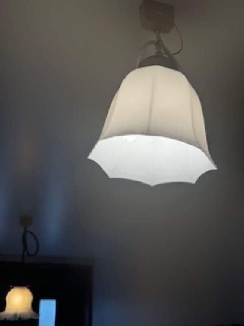 *️⃣プロフ必読 フランス アンティーク オパリン ミルクガラス 吊下げランプ 照明