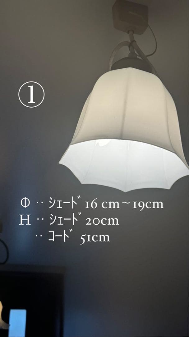 *️⃣プロフ必読 フランス アンティーク オパリン ミルクガラス 吊下げランプ 照明