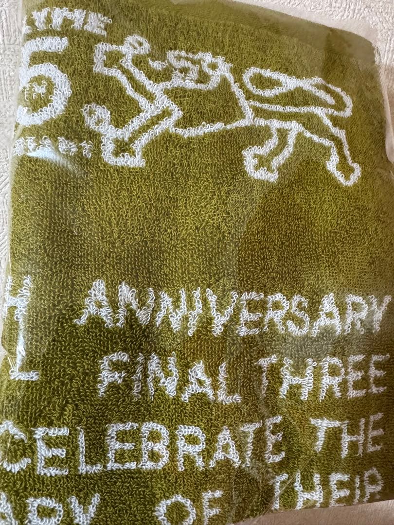 RIP SLYME 25周年エンブレムチャーム DAY3入場特典 未開封タオル