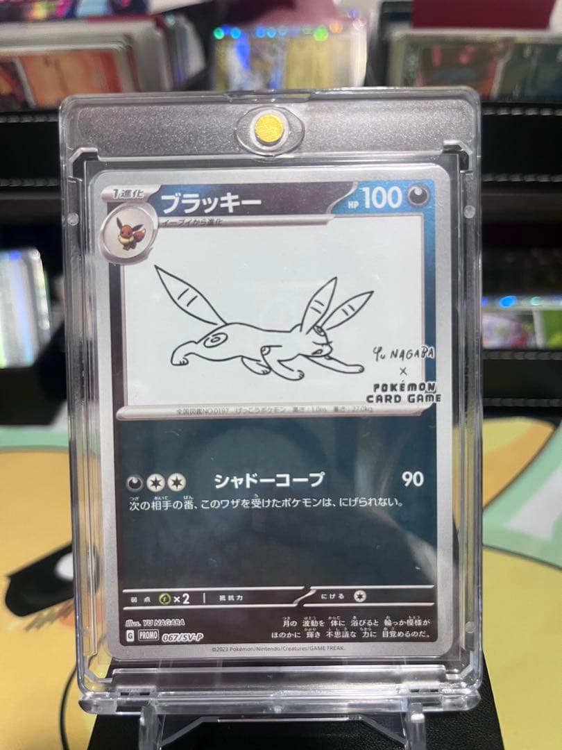 長場　イーブイ　コンプリート　9枚セット