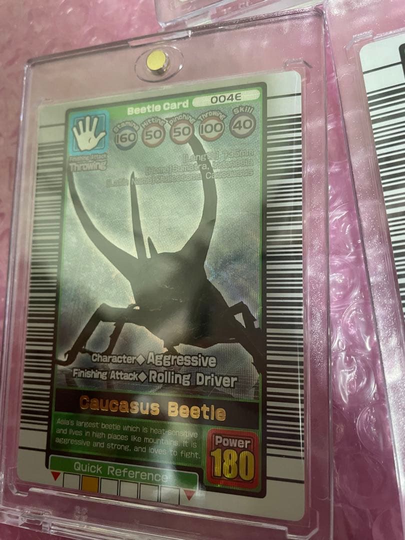 ムシキング　英語