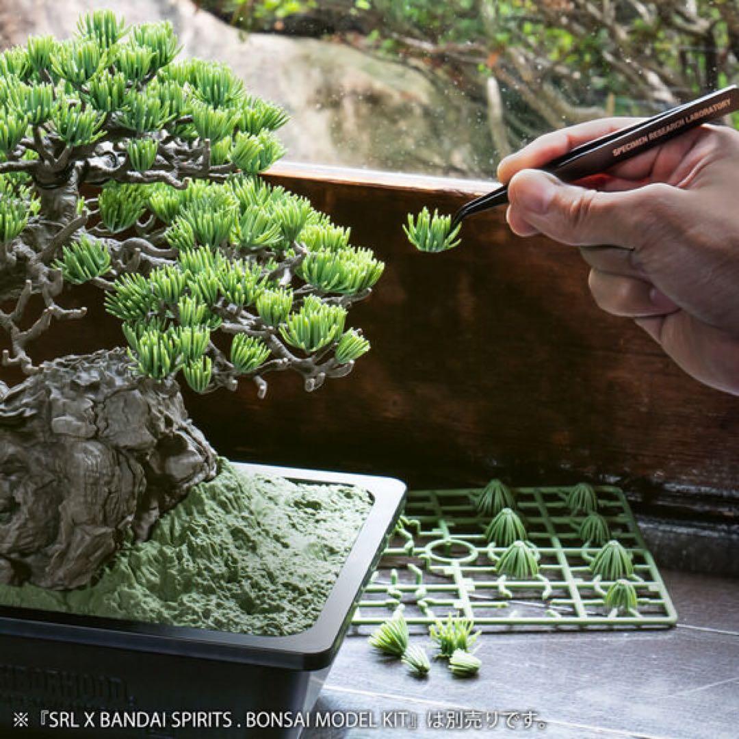 その他 SRL X BANDAI SPIRITS . BONSAI MODEL KIT