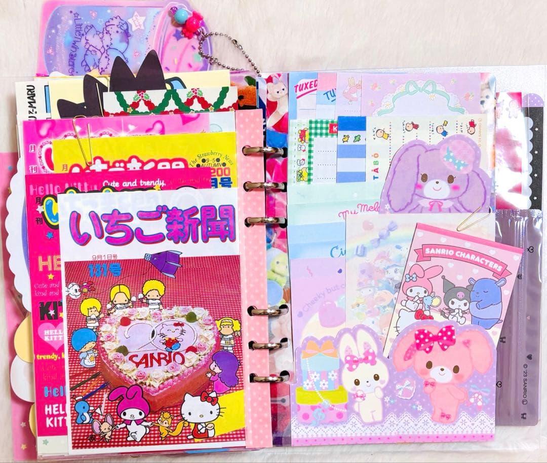 おすそ分けファイル　バイブルバインダー　大容量　サンリオ　【限定1点】