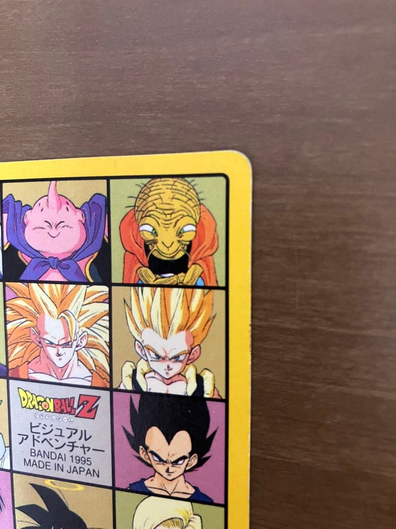 ドラゴンボール　カードダス　ビジュアルアドベンチャー　No.258　グッドバイ