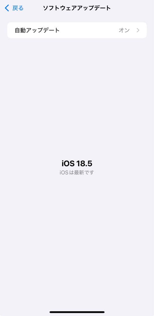 iPhone 13 Pro max 256GB 本体【海外版 SIMフリー】