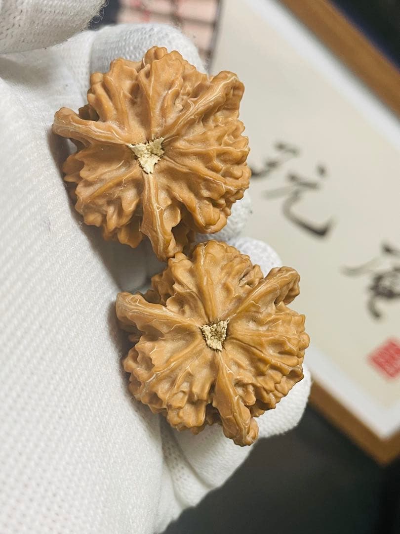 ❤️新入荷No.679盘山三棱正奔 (ベンツマーク)文玩袋ブラシセット