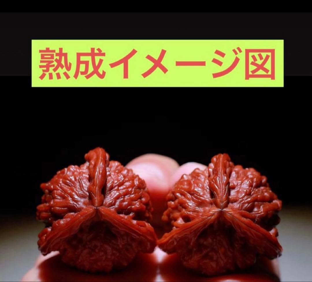 ❤️新入荷No.679盘山三棱正奔 (ベンツマーク)文玩袋ブラシセット