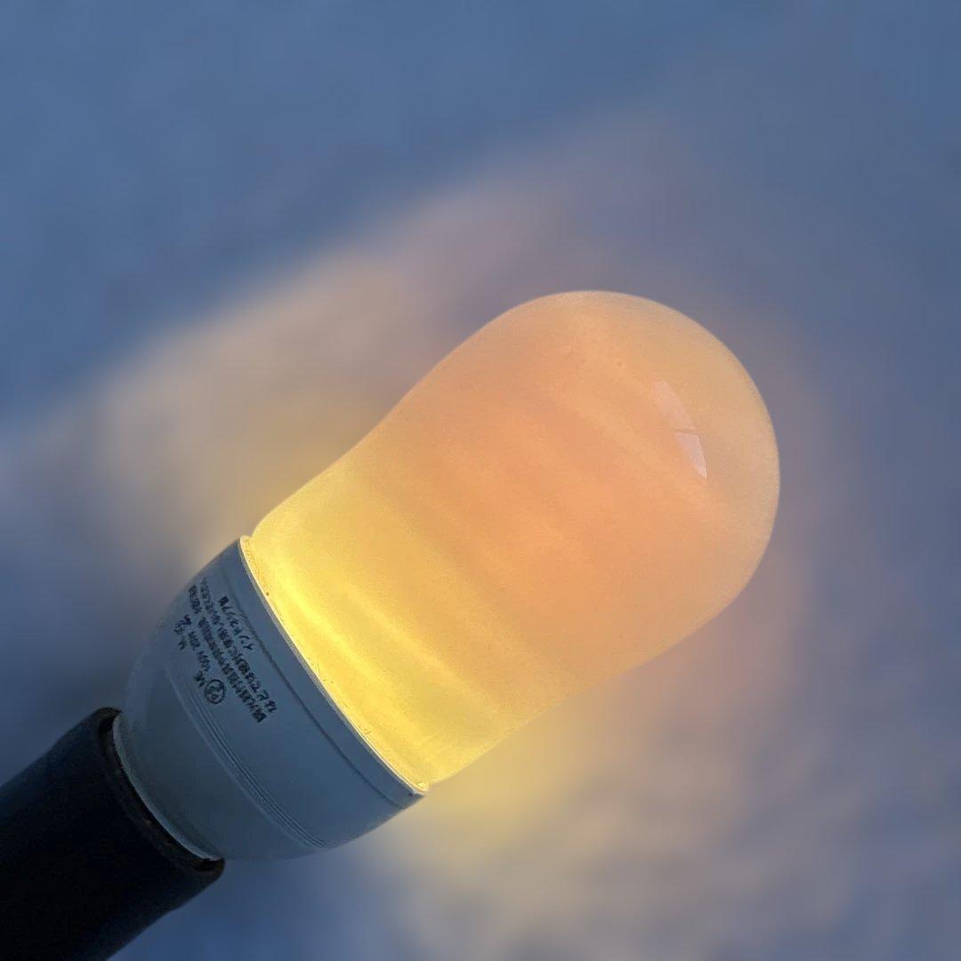 ま*い様 ★☆Panasonicパルックボール プレミア100形電球タイプ 5個