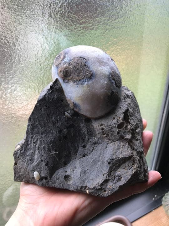 ゴビ石−624 ゴビ瑪瑙　原石　眼石　鉱物 標本