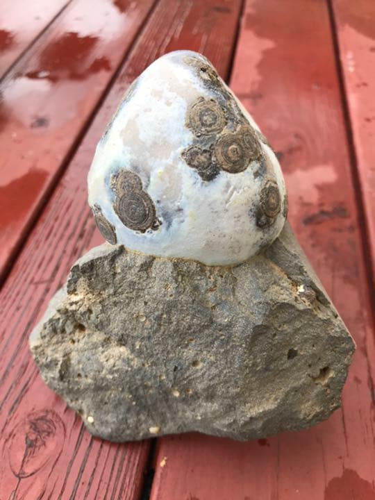 ゴビ石−624 ゴビ瑪瑙　原石　眼石　鉱物 標本